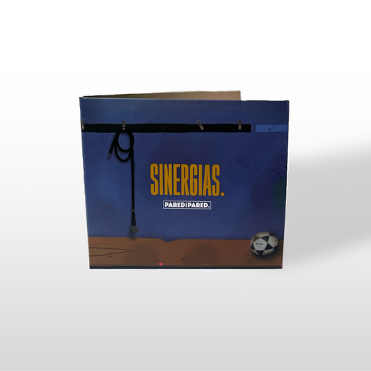 CD SINERGIAS.